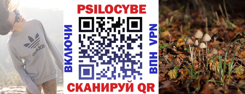 Купить где  Почеп  Псилоцибиновые грибы ЛСД 